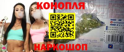 Альфа ПВП Пушкино
