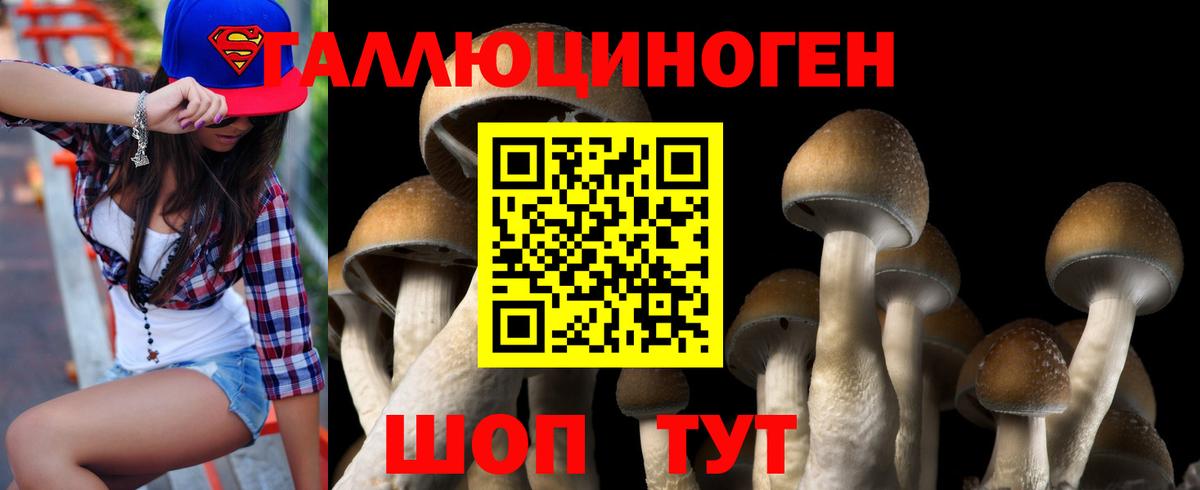 Псилоцибиновые грибы Psilocybe Сорочинск