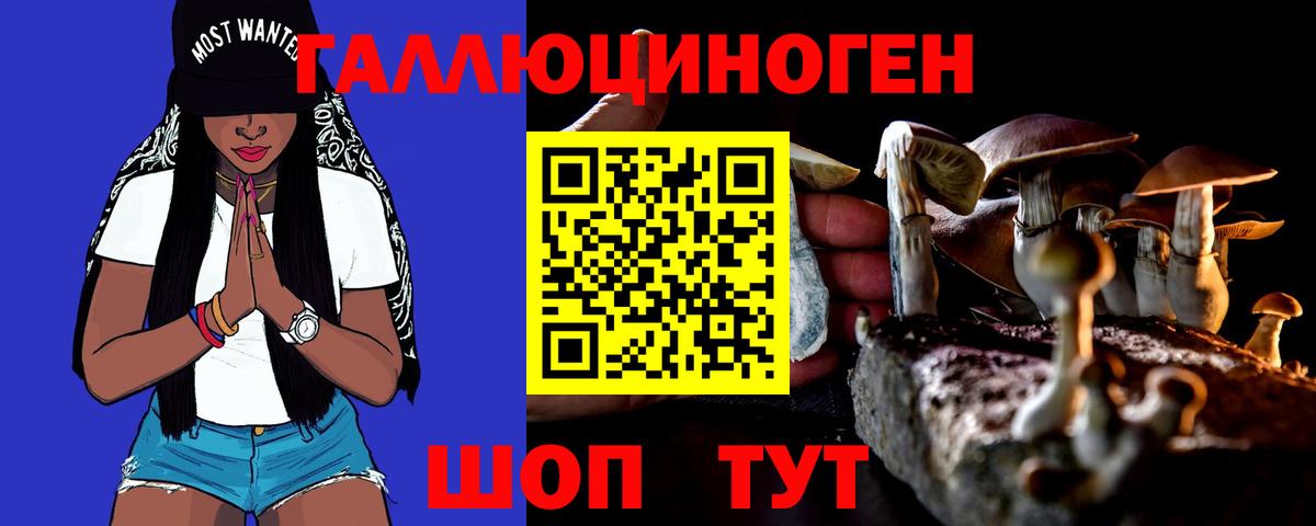 Галлюциногенные грибы Psilocybe  Вход с VPN  Сорочинск 